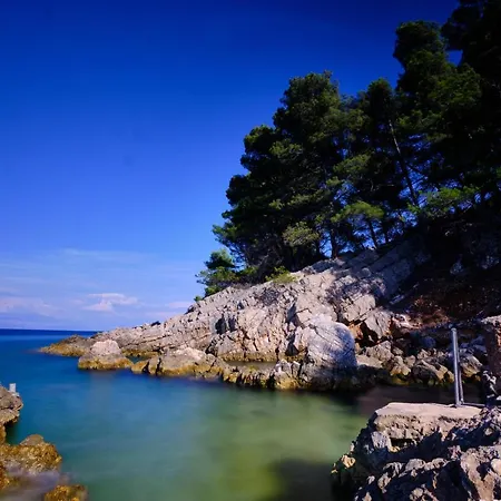 Διαμέρισμα Vila Vita *